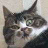 anarar's profile picture