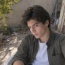alireza's profile picture