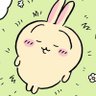 squidcat 🐈 SAW MITSKI 🧶's profile picture