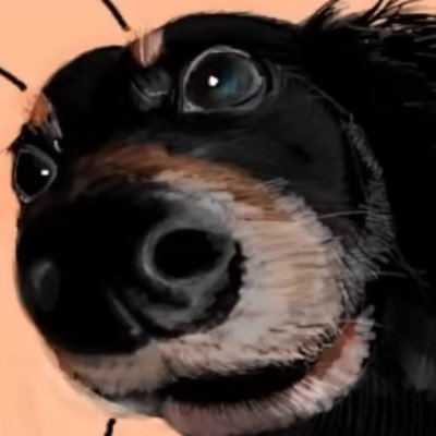 kohinore's profile picture