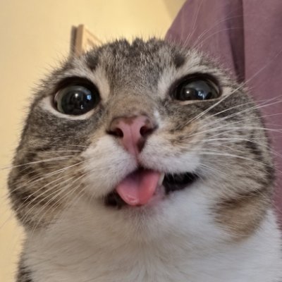 ghẹ nướng muối ớt 🐡 rắc thêm xíu thì là's profile picture