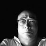 wenli yin profil fotoğrafı