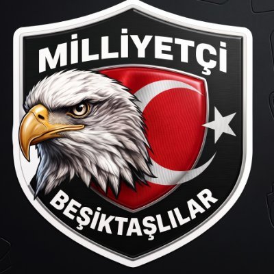 Milliyetçi Beşiktaşlılar's profile picture
