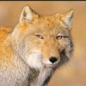Profilbild von L3