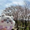ミュン🍊's profile picture