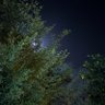Фото профиля What Else