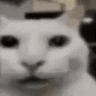 Profilbild von z