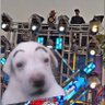 giva sound horeg's profile picture