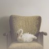 ّ's profile picture