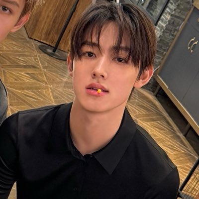 seanshinee k/ia.'s profile picture