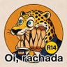 Lucas Queiroz's profile picture