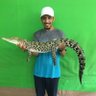 Eng/Abdrhman Bn Ahmd's profile picture