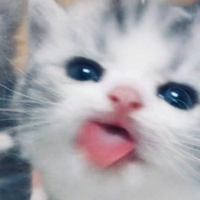 catatanale's profile picture