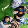 N's profile picture