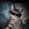 Profilbild von Aarav