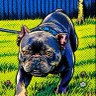 Profilbild von Sherlock Hemlock