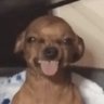 LikeUCare.'s profile picture