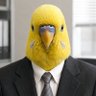 きむちん profil fotoğrafı