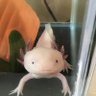UPA_UPA's profile picture