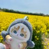 mimi's profile picture