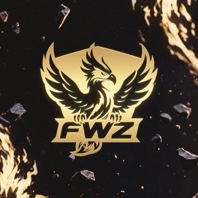 FWZteam's profile picture