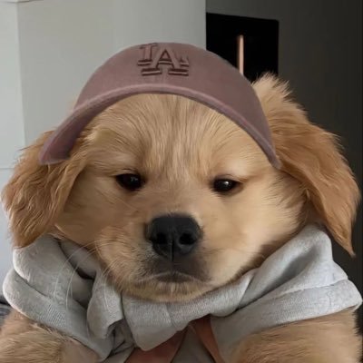 หม๋าแดงตุวอ้วนGranny’s Guinzly💜's profile picture