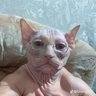 URITO profil fotoğrafı
