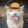 Working Shape's profile picture