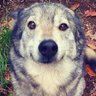 Profilbild von seb