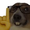 Profilbild von kkkkkk
