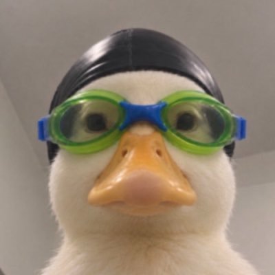 𝑩𝒃𝒆𝒍𝒍𝒐 ྀི 🚏(rest)'s profile picture