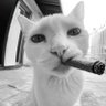 charlie profil fotoğrafı