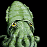 pirata's profile picture
