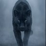 BigCoop3 profil fotoğrafı