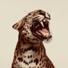 Profilbild von Dry