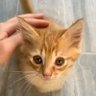 Tonnex profil fotoğrafı