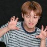 캭's profile picture