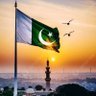نوید احسن ھاشمی's profile picture