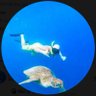 Profilbild von jon