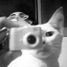 Profilbild von jimi bla bla bla