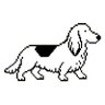 XOR's profile picture
