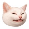 KOT's profile picture