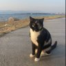 Фото профиля miko🇹🇷