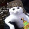 سهيل جسار 🇾🇪 的头像