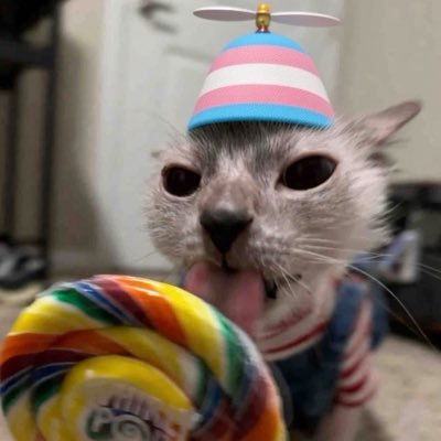 lilystays's profile picture