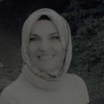 DrnSvm's profile picture