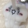 Evecat !!!!'s profile picture
