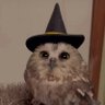 Profilbild von Matias Ψ