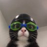 winny profil fotoğrafı