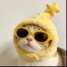 Фото профиля MEOW ִ ࣪𖤐